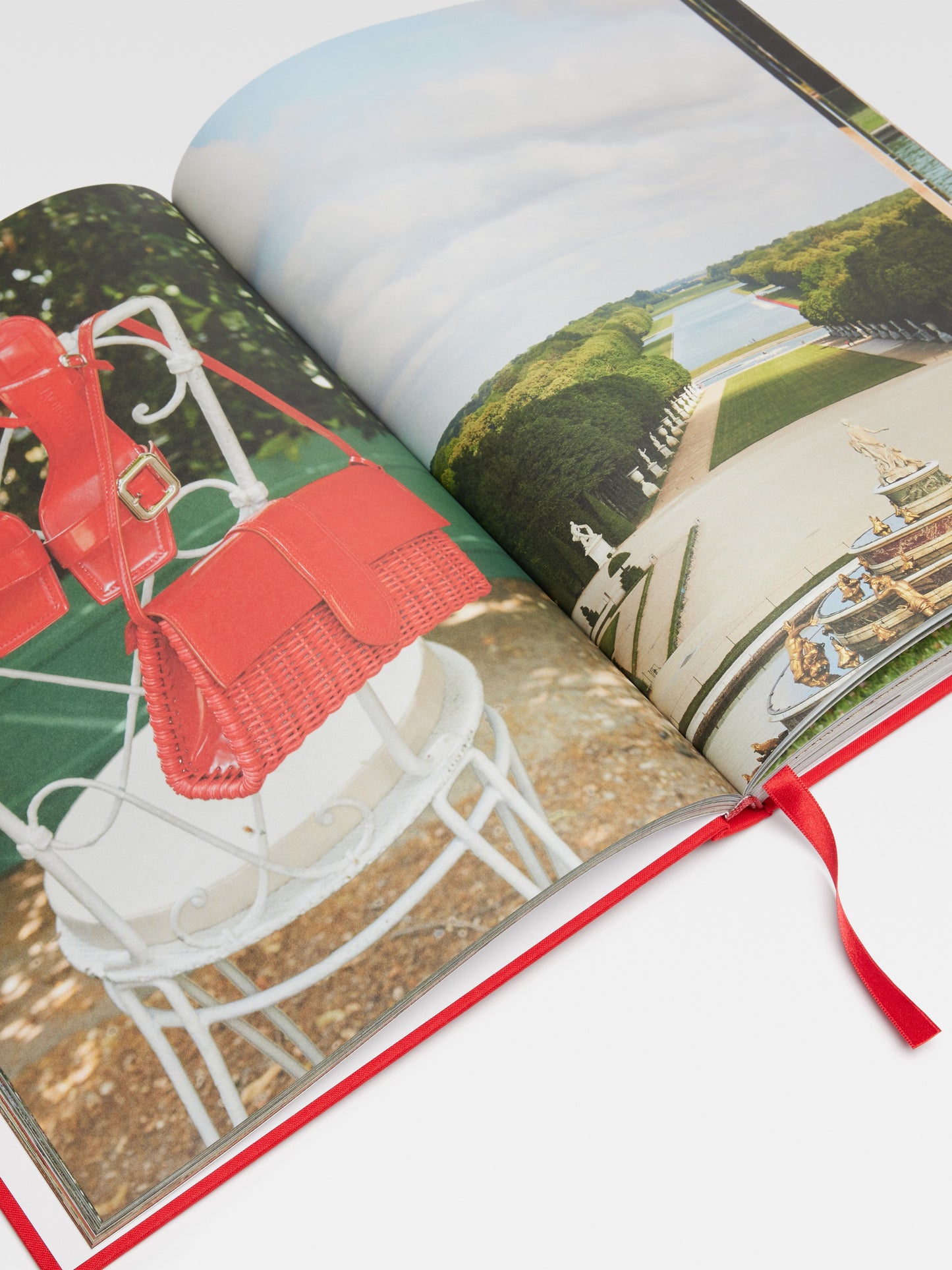 Martin Parr : Le Chouchou
