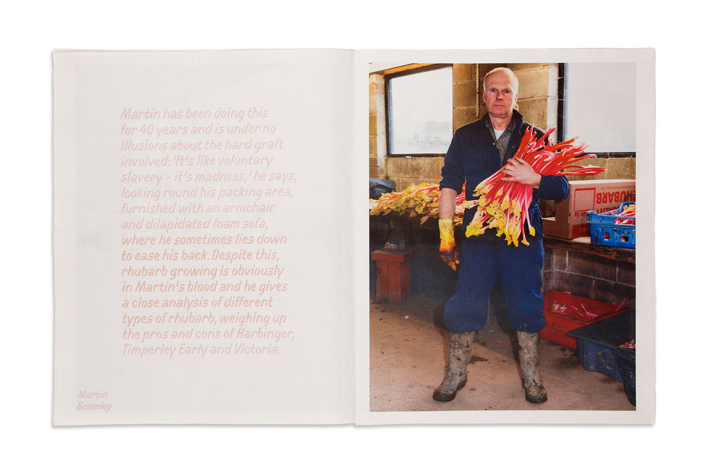 Martin Parr : The Rhubarb Triangle (Newspaper)