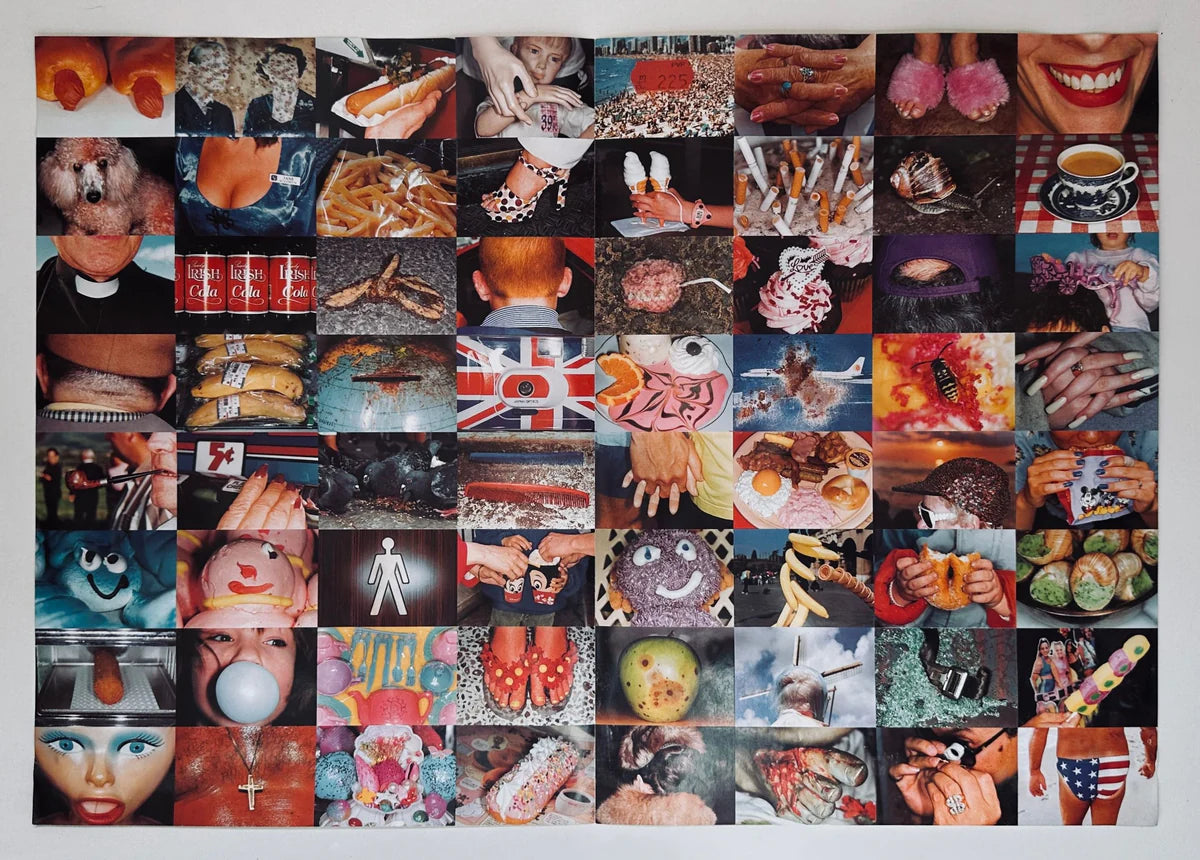 Martin Parr : Agnes B Common Sense Poster