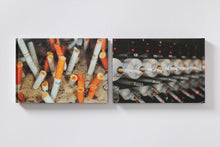 Load image into Gallery viewer, Martin Parr : No Smoking (deluxe edition)