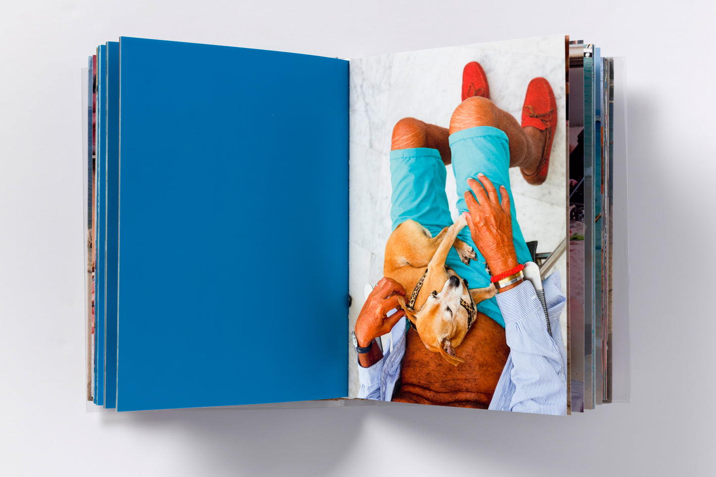 Martin Parr : Gucci World (The Price of Love)