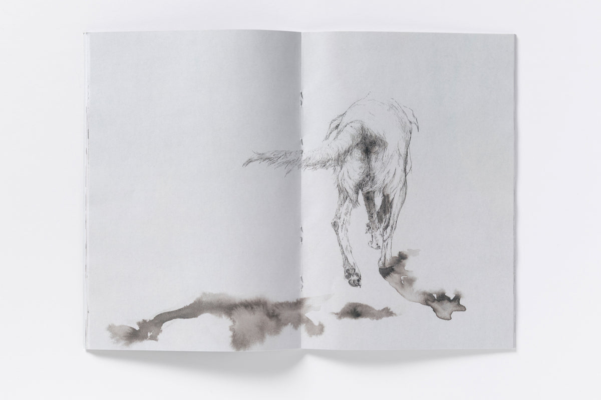 Florian Song Nguyen : Les Chiens Errants
