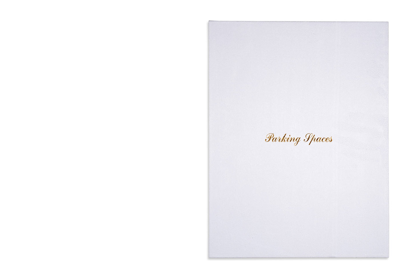 Martin Parr : Parking Spaces