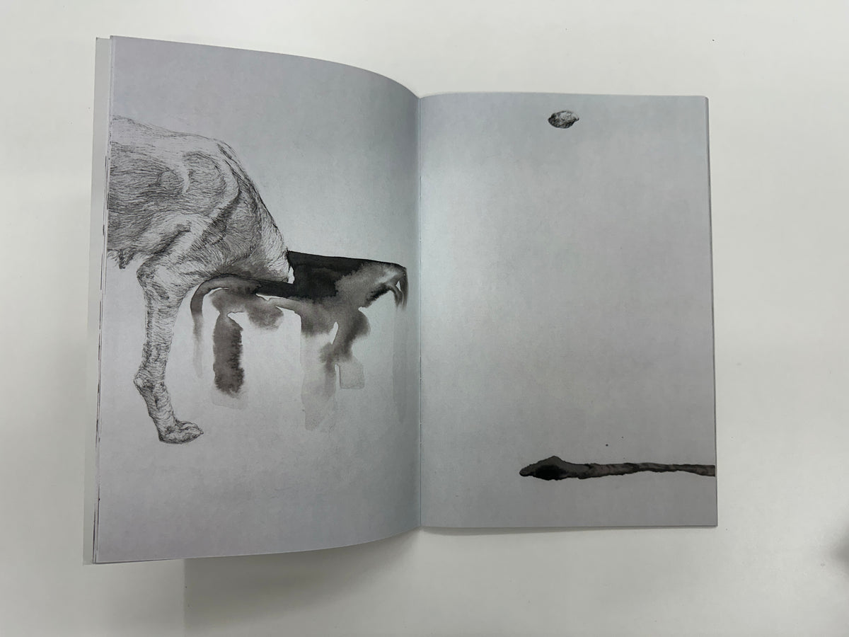 Florian Song Nguyen : Les Chiens Errants