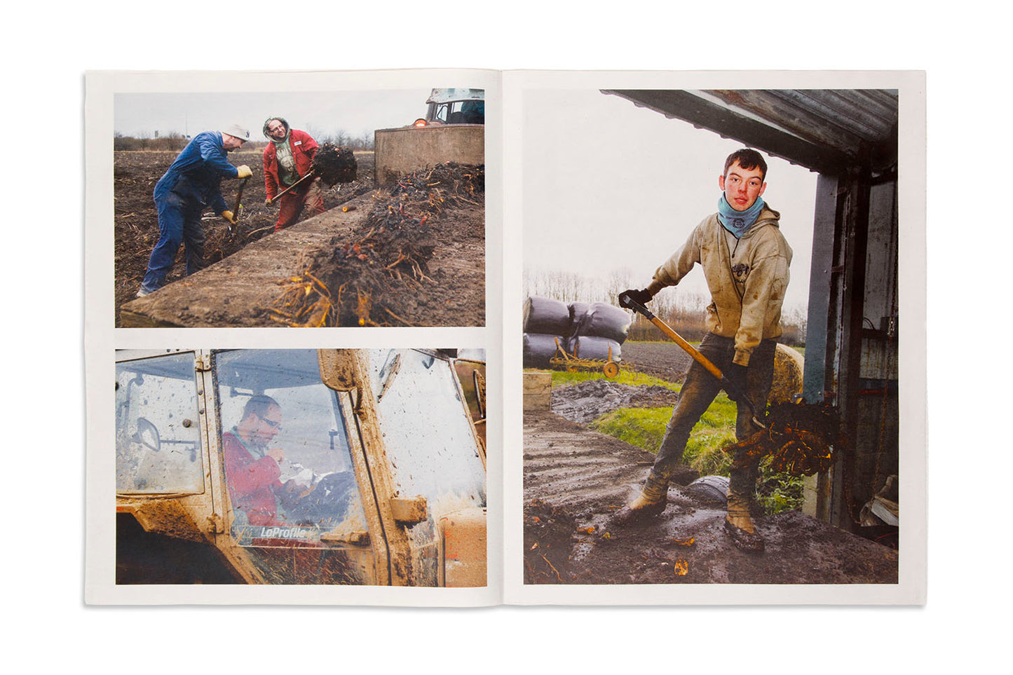 Martin Parr : The Rhubarb Triangle (Newspaper)