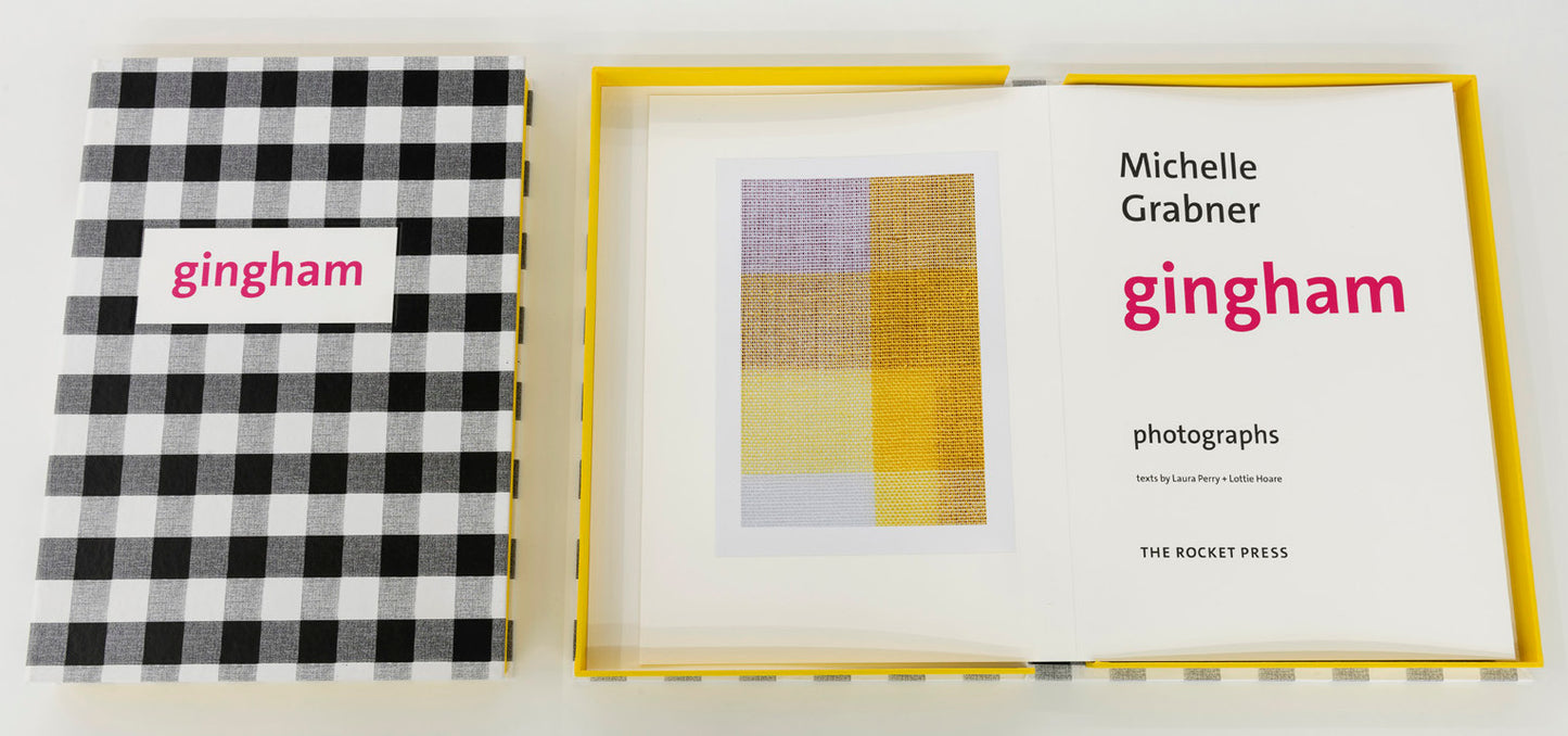 Michelle Grabner : Gingham