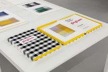 Load image into Gallery viewer, Michelle Grabner : Gingham