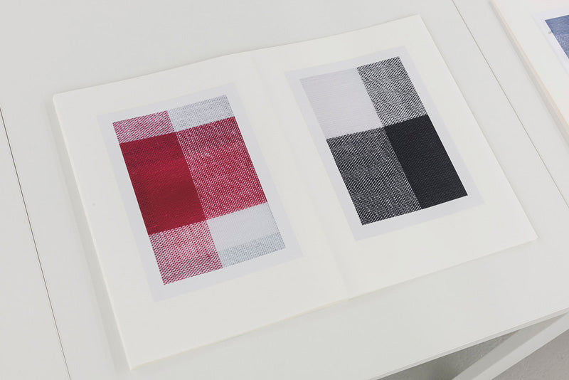 Michelle Grabner : Gingham