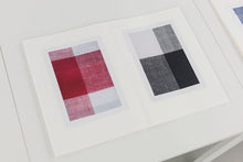 Load image into Gallery viewer, Michelle Grabner : Gingham