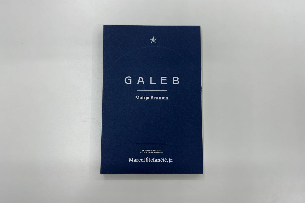 Matija Brumen : Galeb