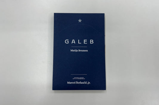Matija Brumen : Galeb