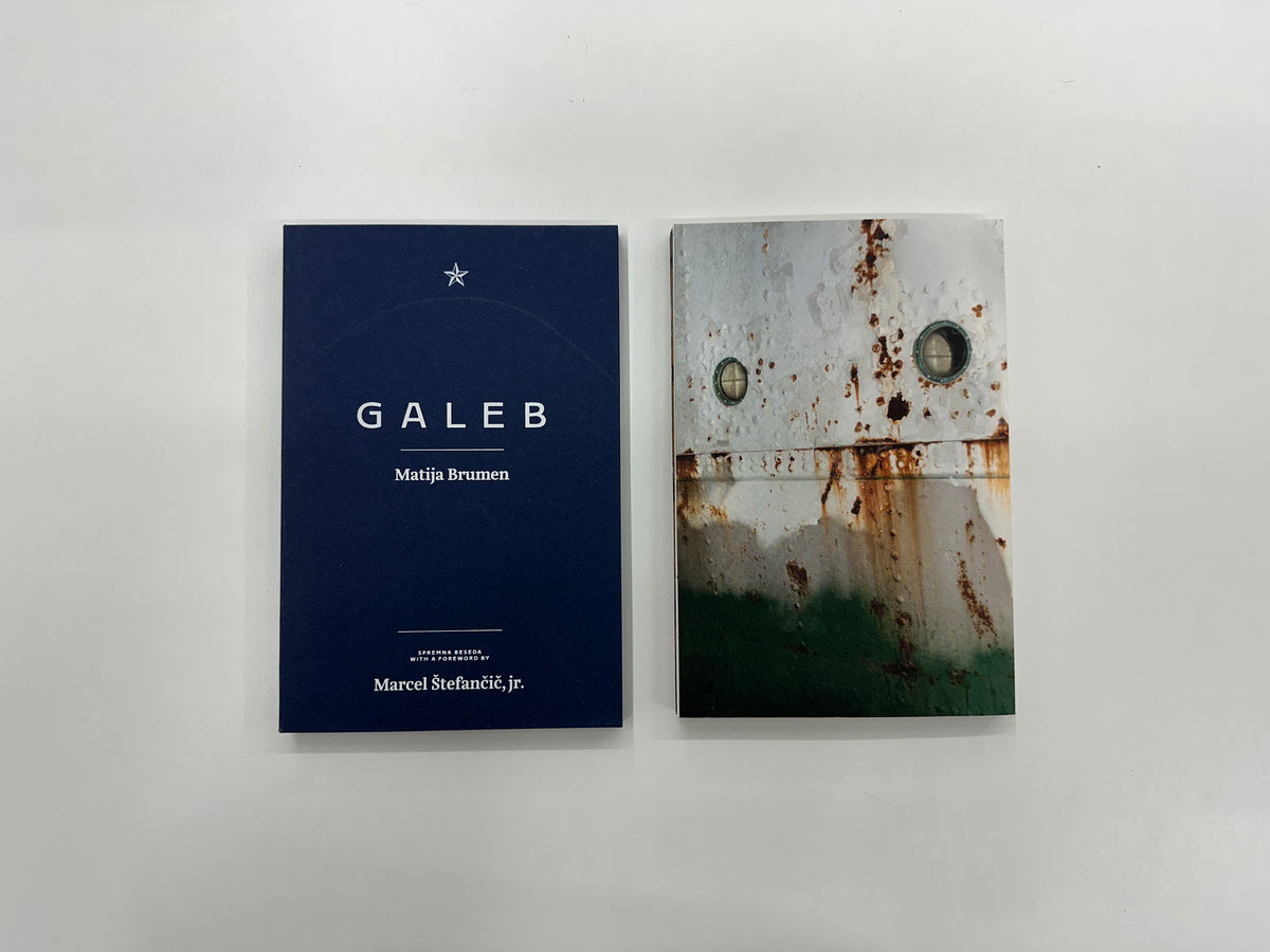 Matija Brumen : Galeb