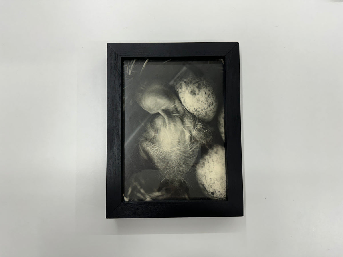 Andrej Lamut : Nokturno Special Edition