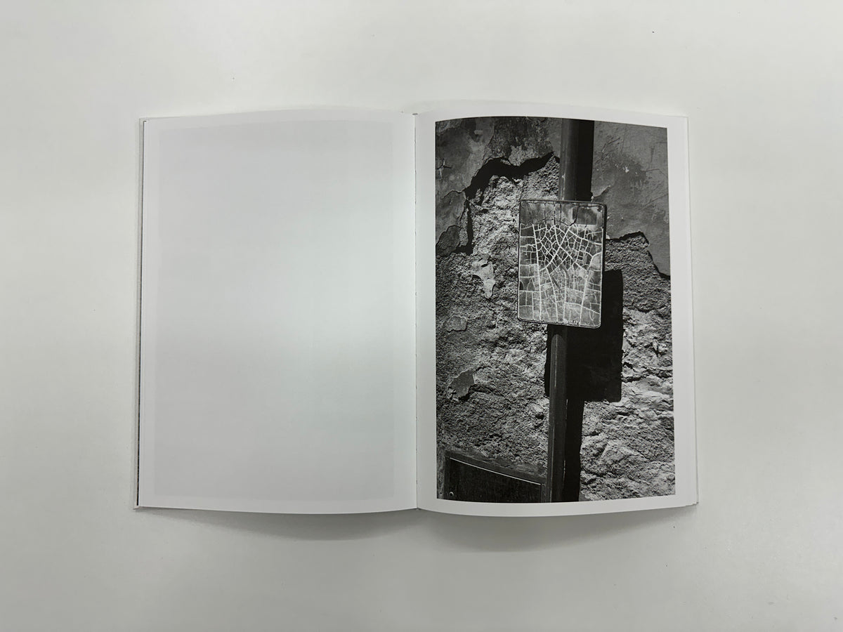 Fillipo Zambon : Goodbye Meadow