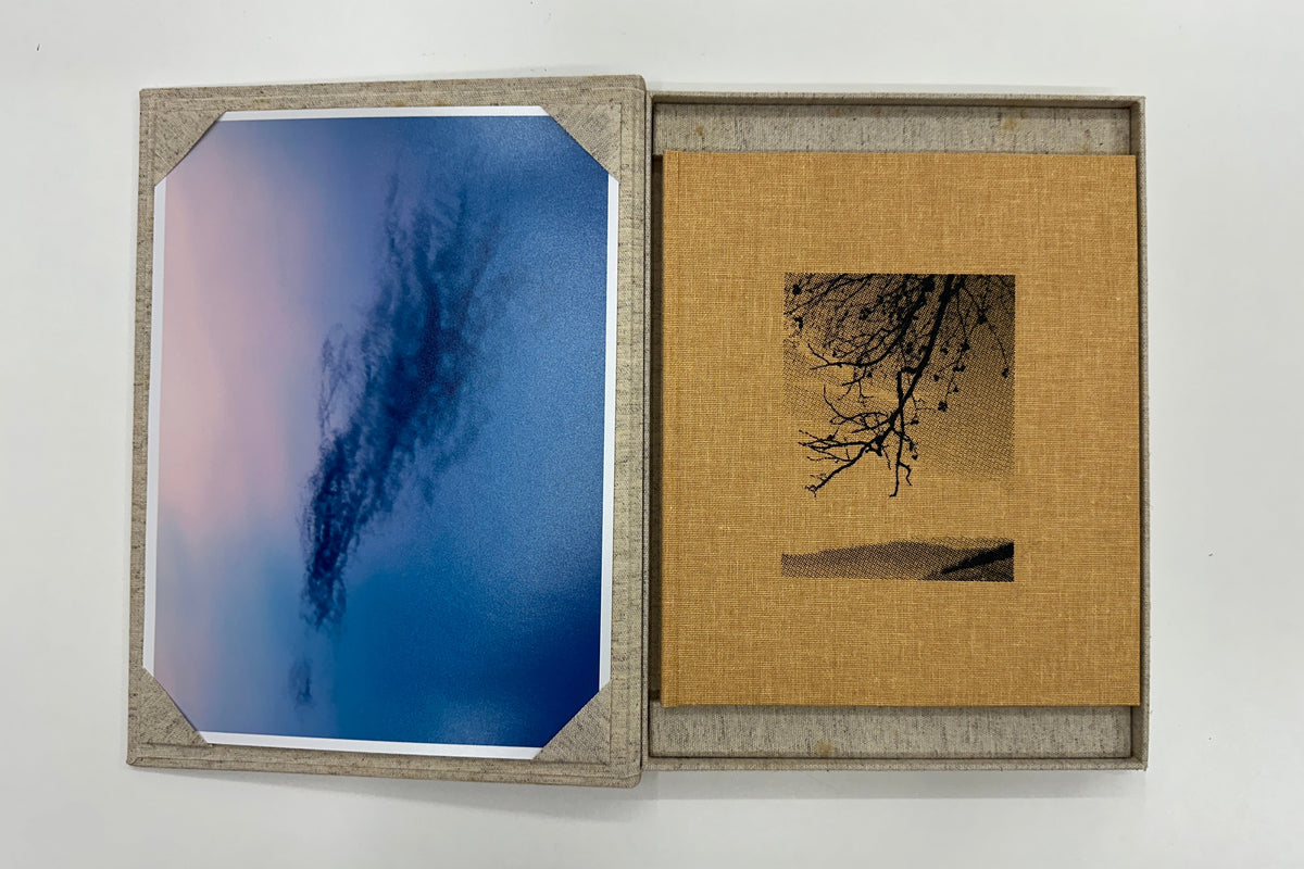 Matej Sitar : Morning Sun Special Edition