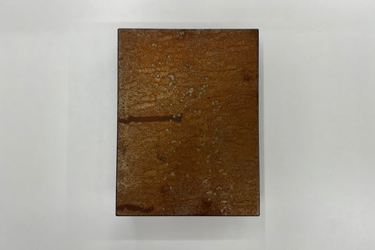 Goran Bertok : Requiem Special Edition