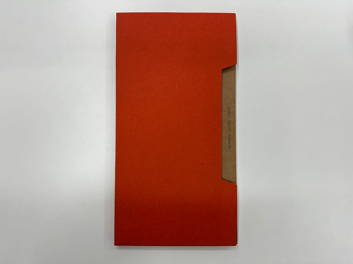 Thomas Sauvin : Great Leaps Forward Collectors Edition
