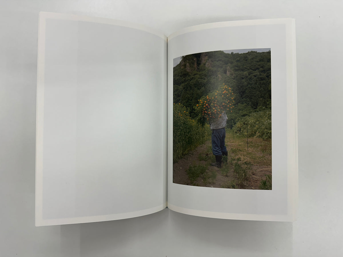 Teresa Freitas : Flower(s) — Vol. 1