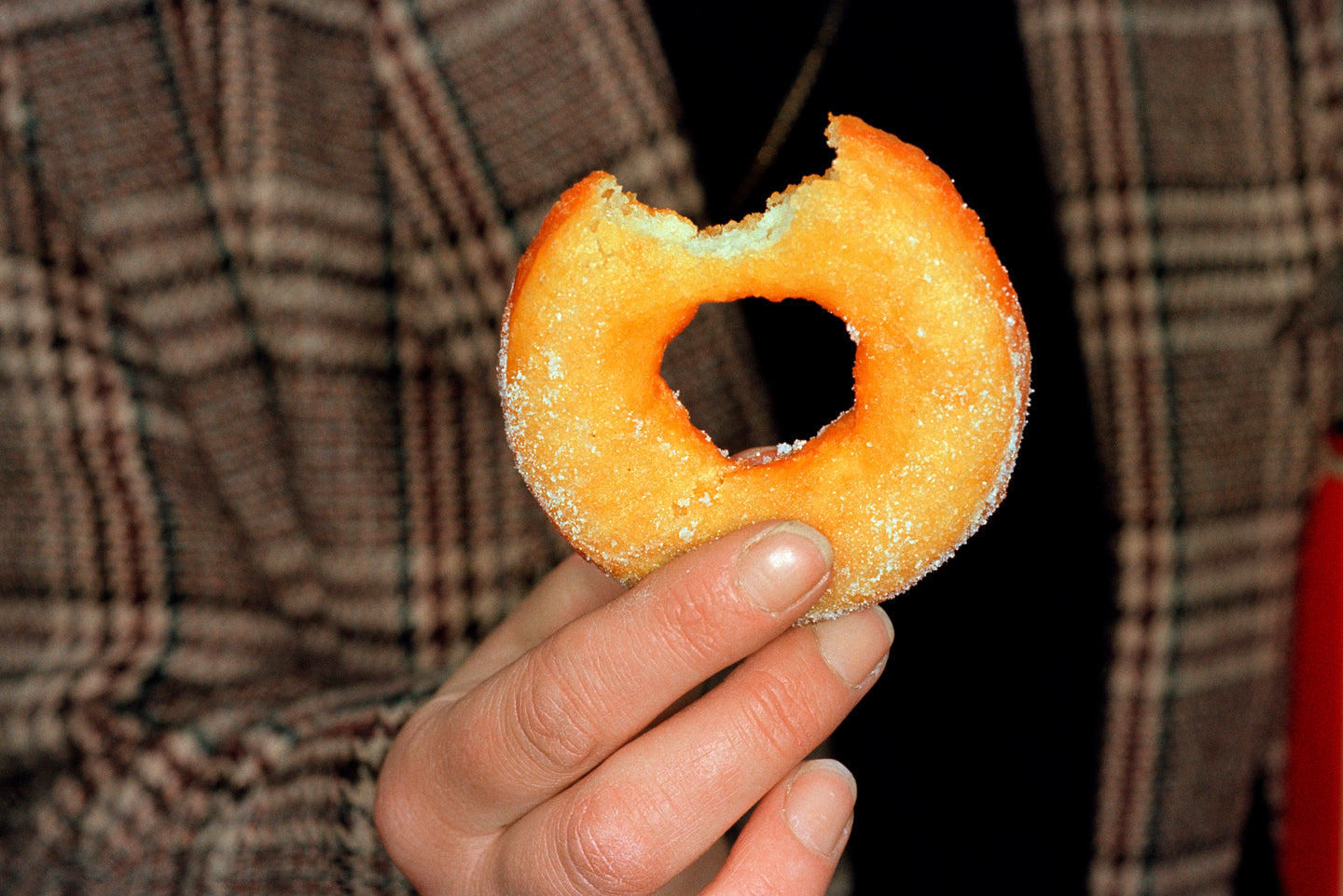 Martin Parr : Doughnut [Food]