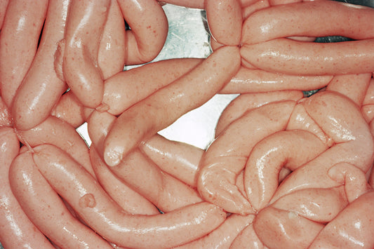 Martin Parr : Sausages [British Food]