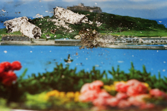 Martin Parr : Ash [Food]