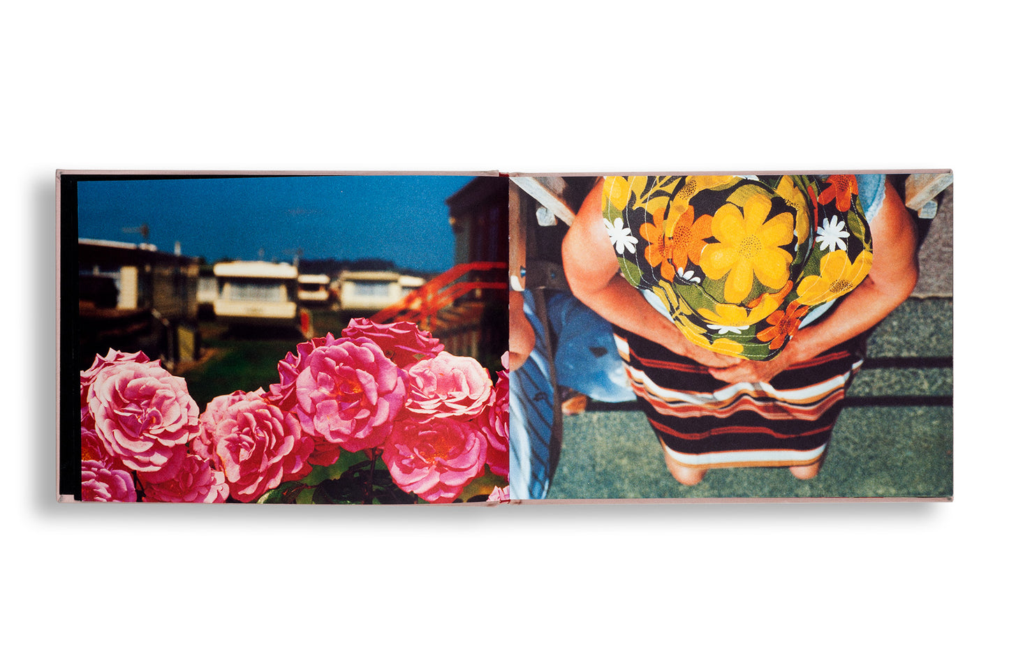 Martin Parr : Flowers (The Pink One)