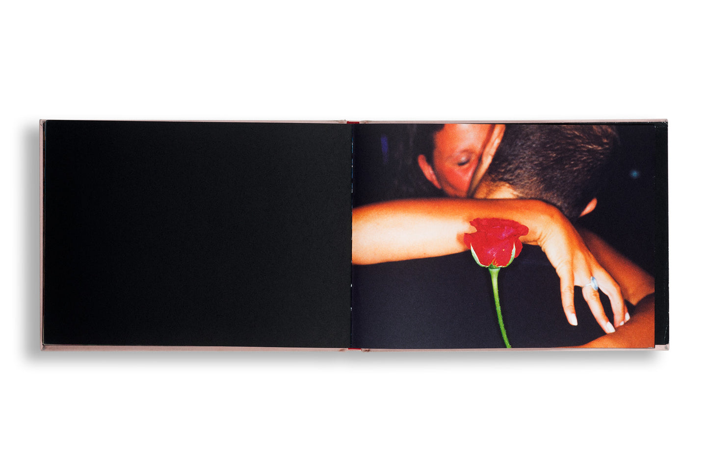 Martin Parr : Flowers (The Pink One)