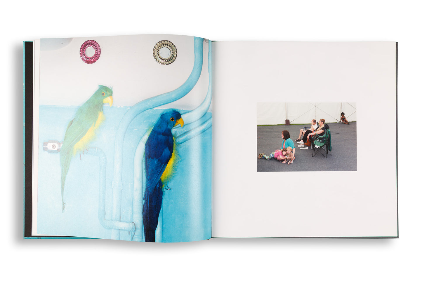 Martin Parr : Voewood Festival