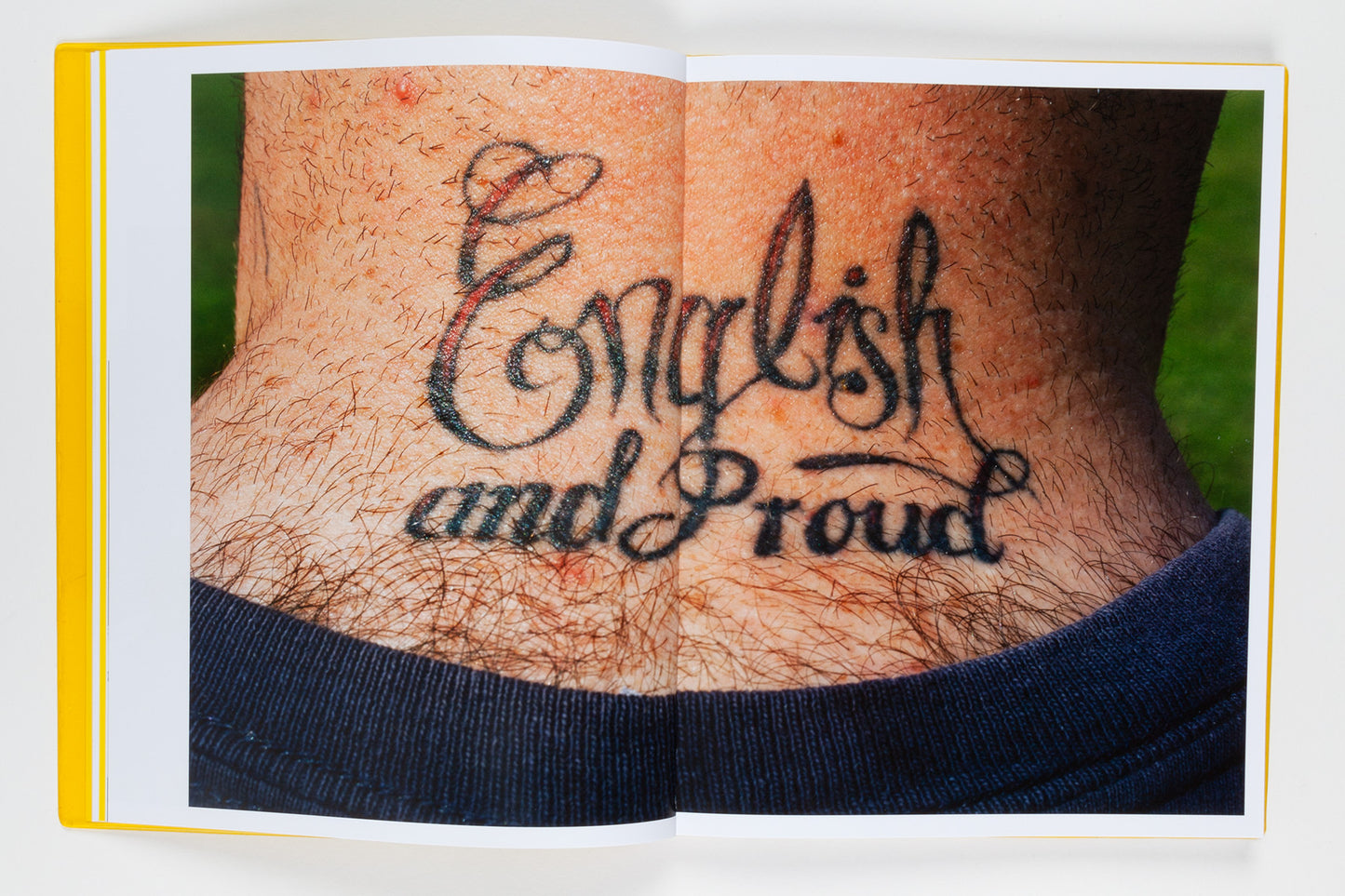 Martin Parr : We Love Britain!