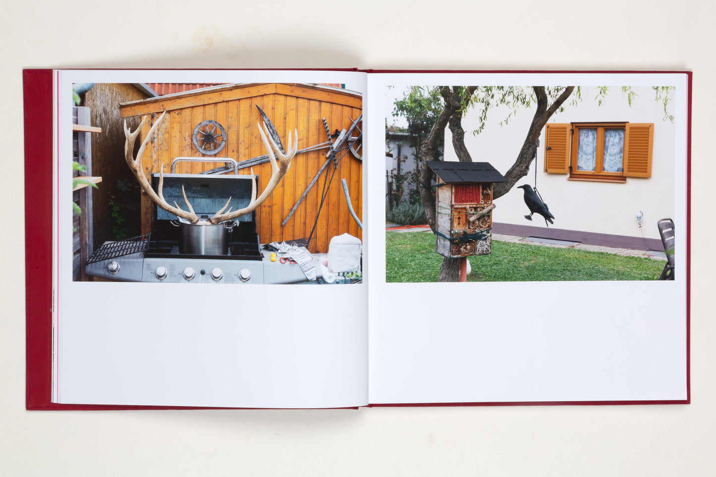 Martin Parr : Cakes and Balls