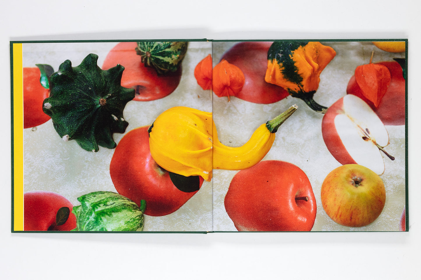 Martin Parr : Kleingärtner