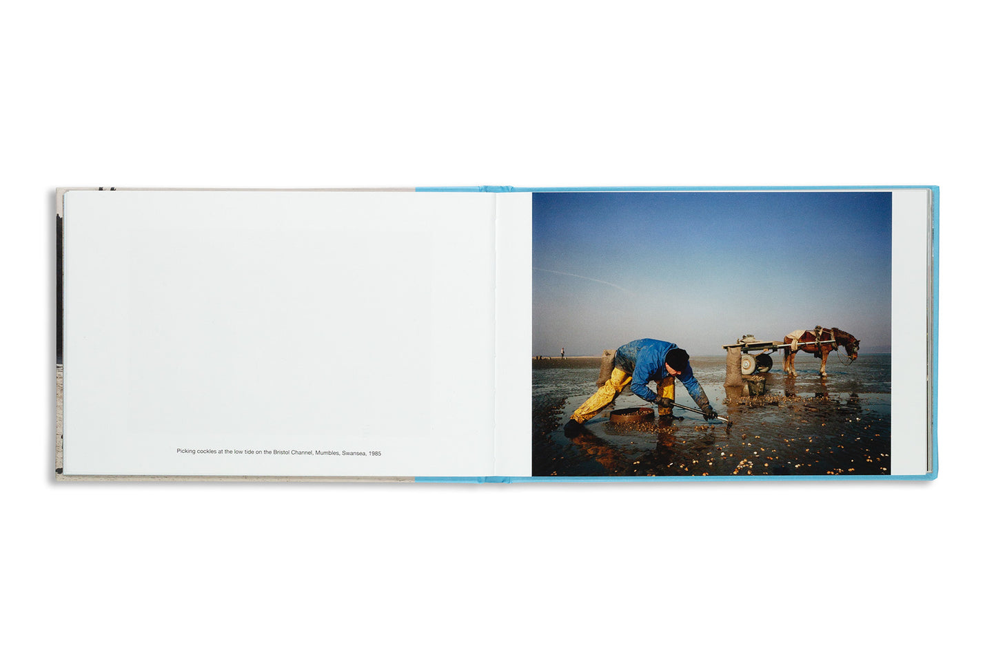 Martin Parr : In Wales