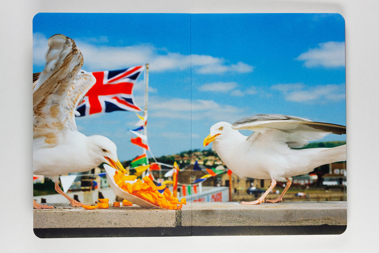 Martin Parr : Animals