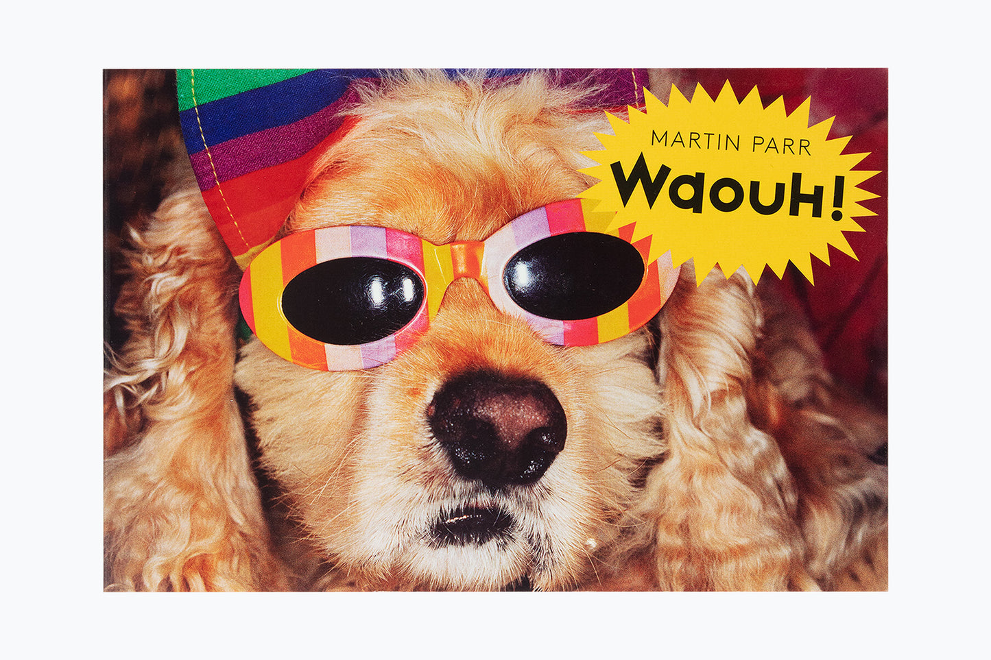 Martin Parr : Waouh!