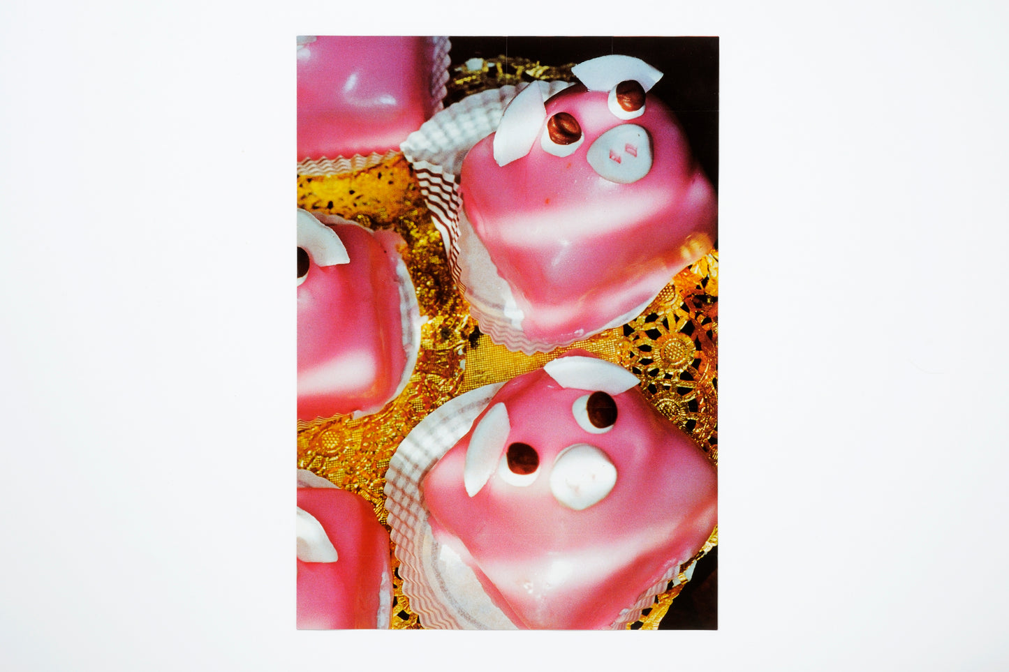 Martin Parr : Agnes B  Common Sense Poster
