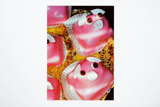 Martin Parr : Agnes B  Common Sense Poster