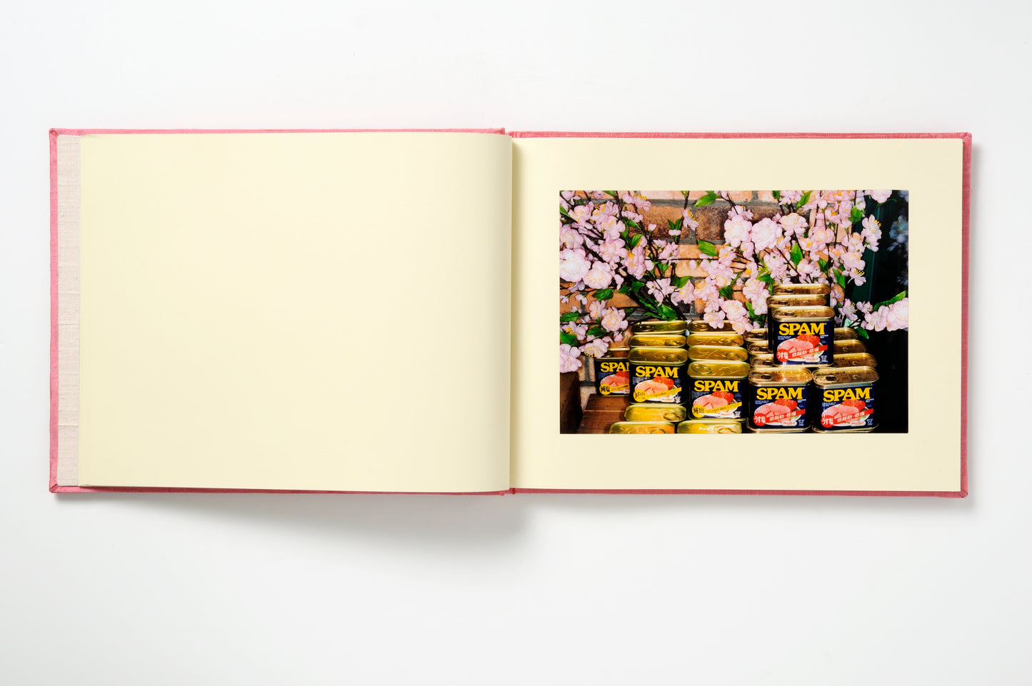 Martin Parr : Cherry Blossom time in Tokyo
