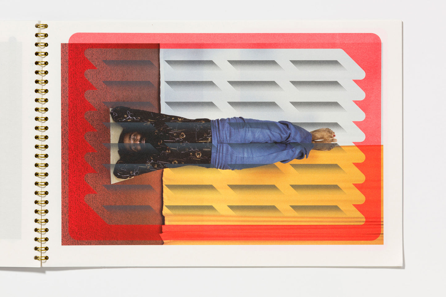 Sigrid Calon : Screening 2