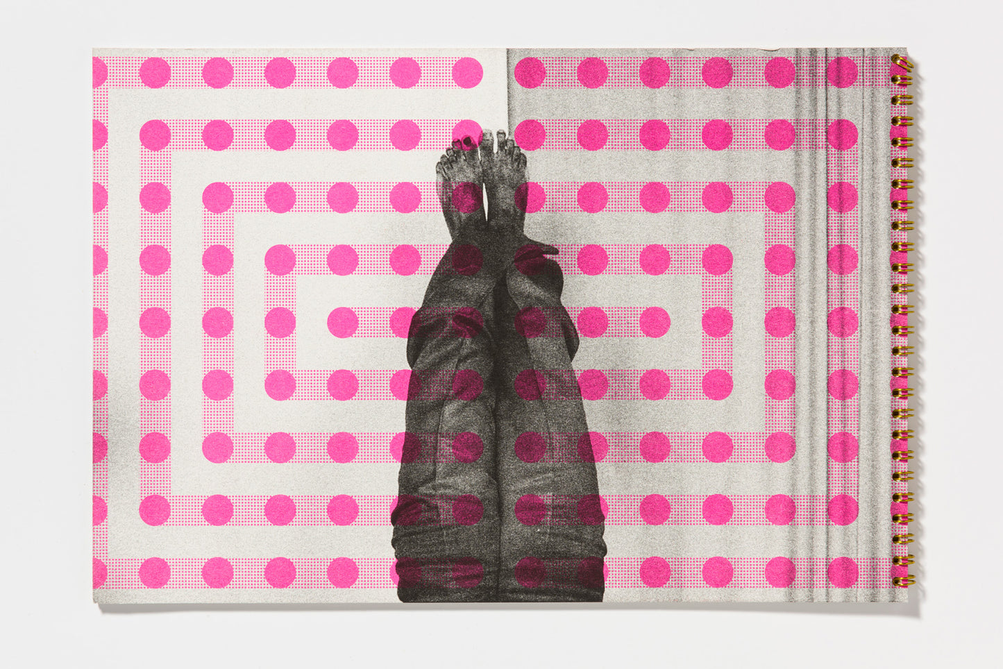 Sigrid Calon : Screening 2