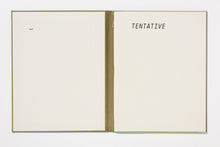 Load image into Gallery viewer, Jean-Claude Mattrat : Tentative