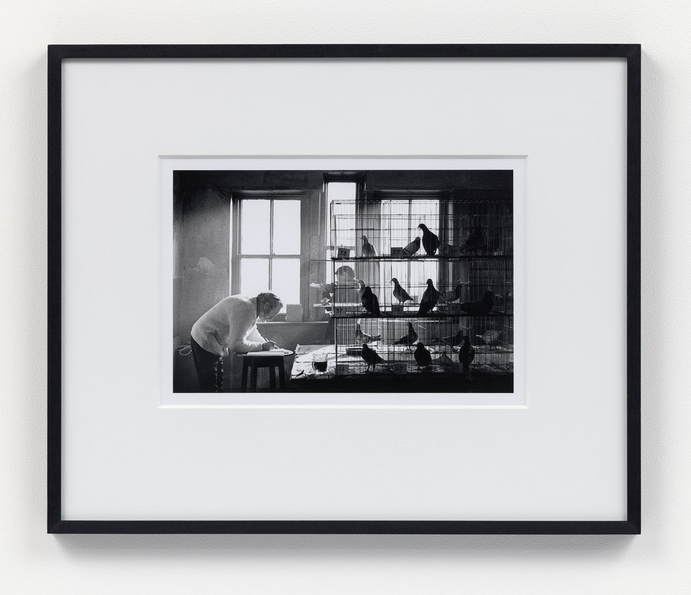 Martin Parr : Rope & Anchor Pub