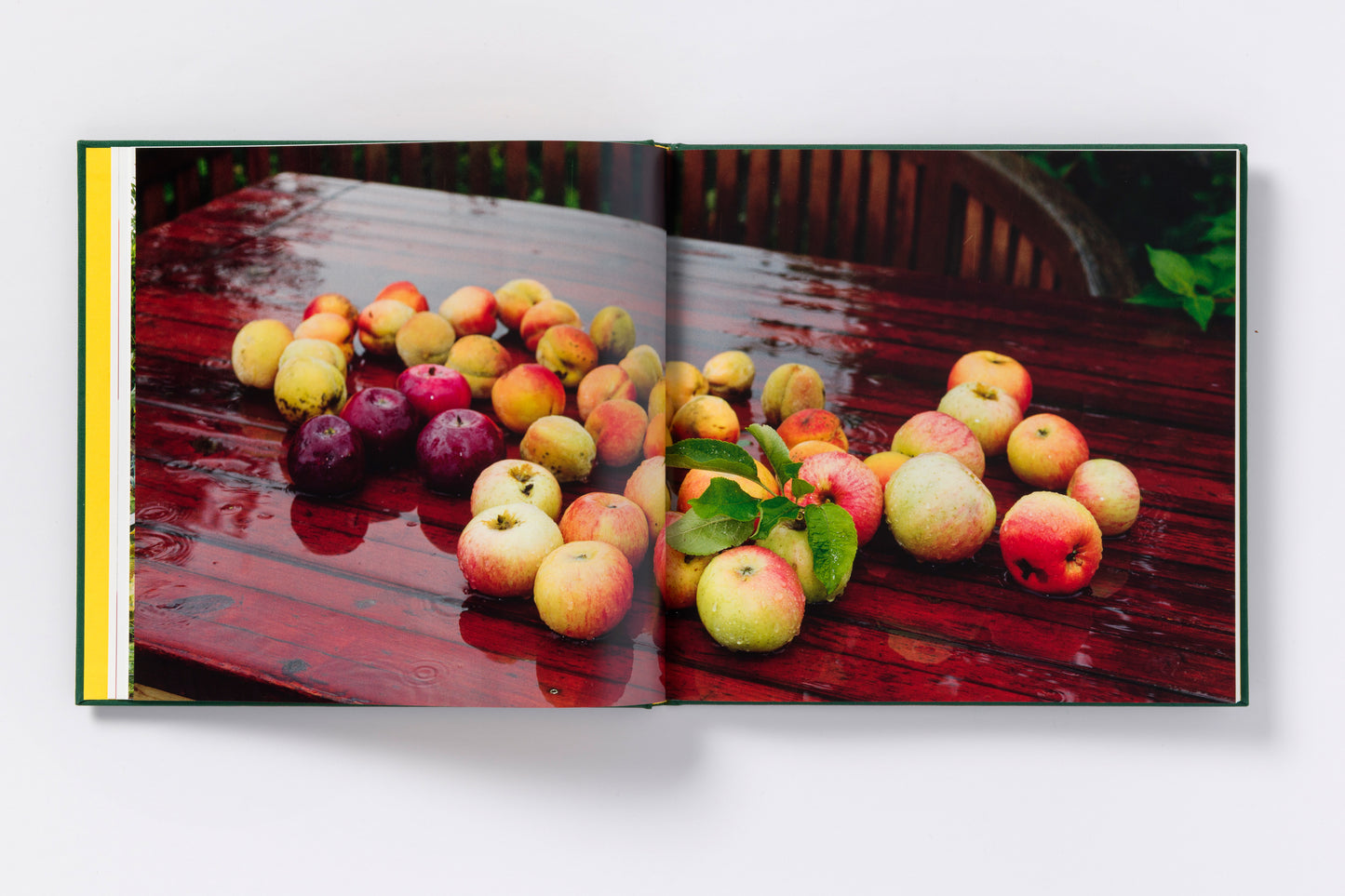 Martin Parr : Kleingärtner