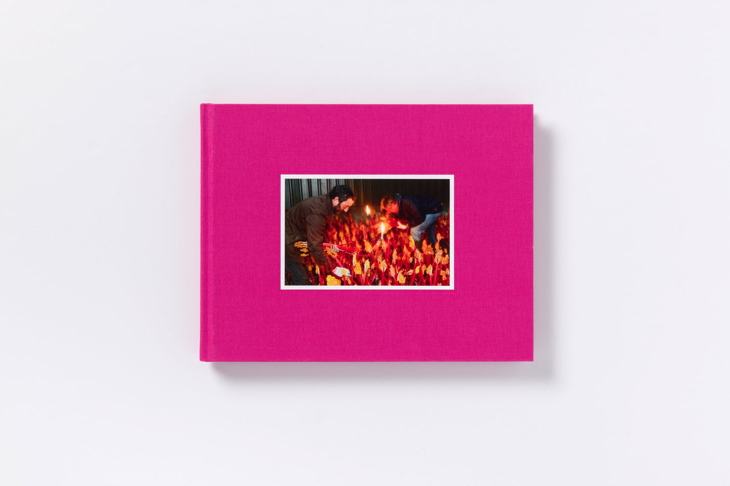 Martin Parr : The Rhubarb Triangle