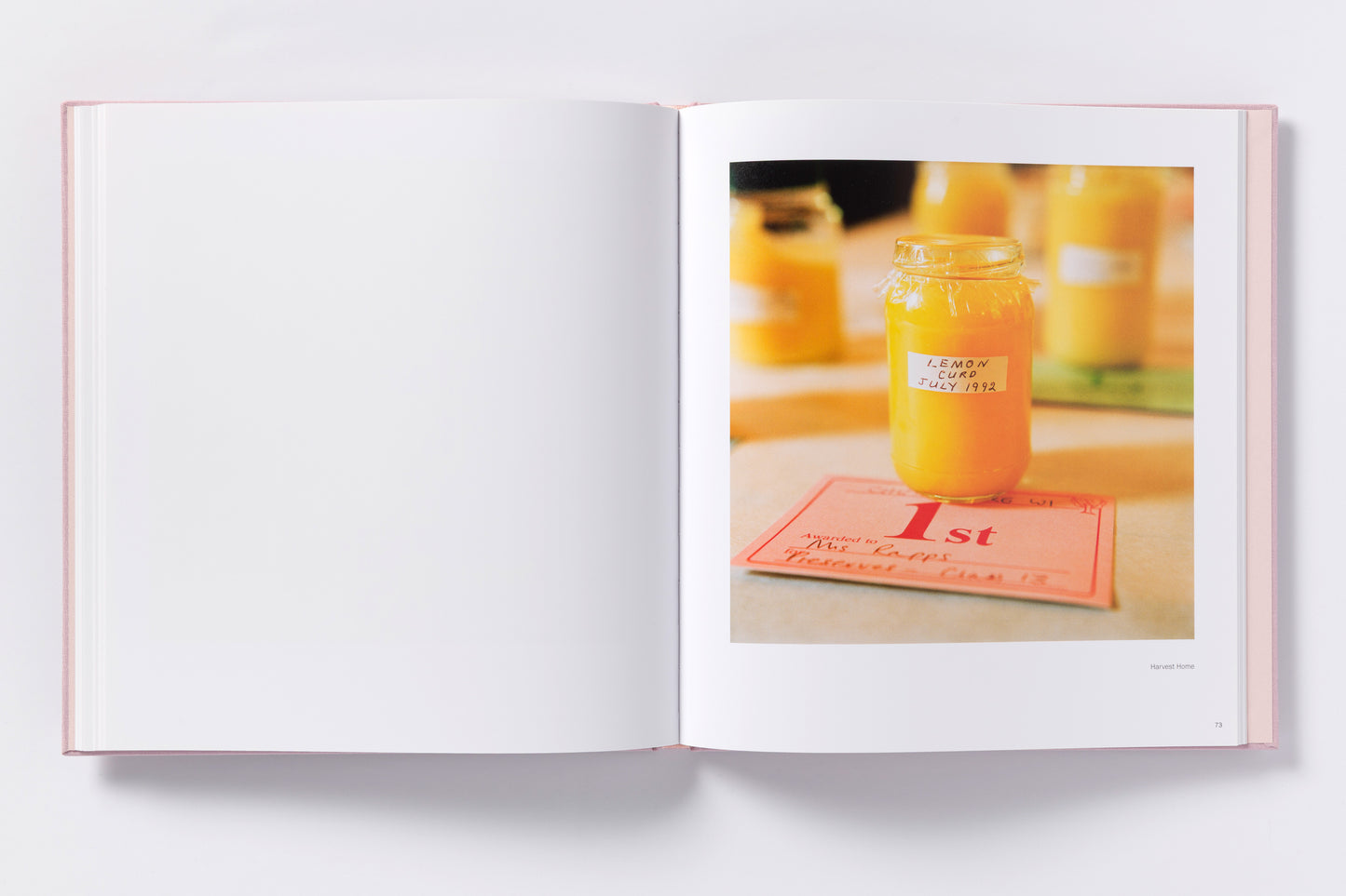 Martin Parr : A Year in the Life of Chew Stoke Village [standard]