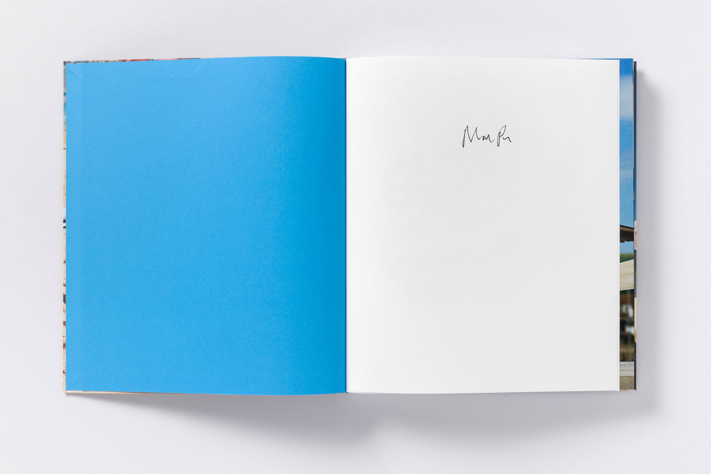 Martin Parr : Global Warning