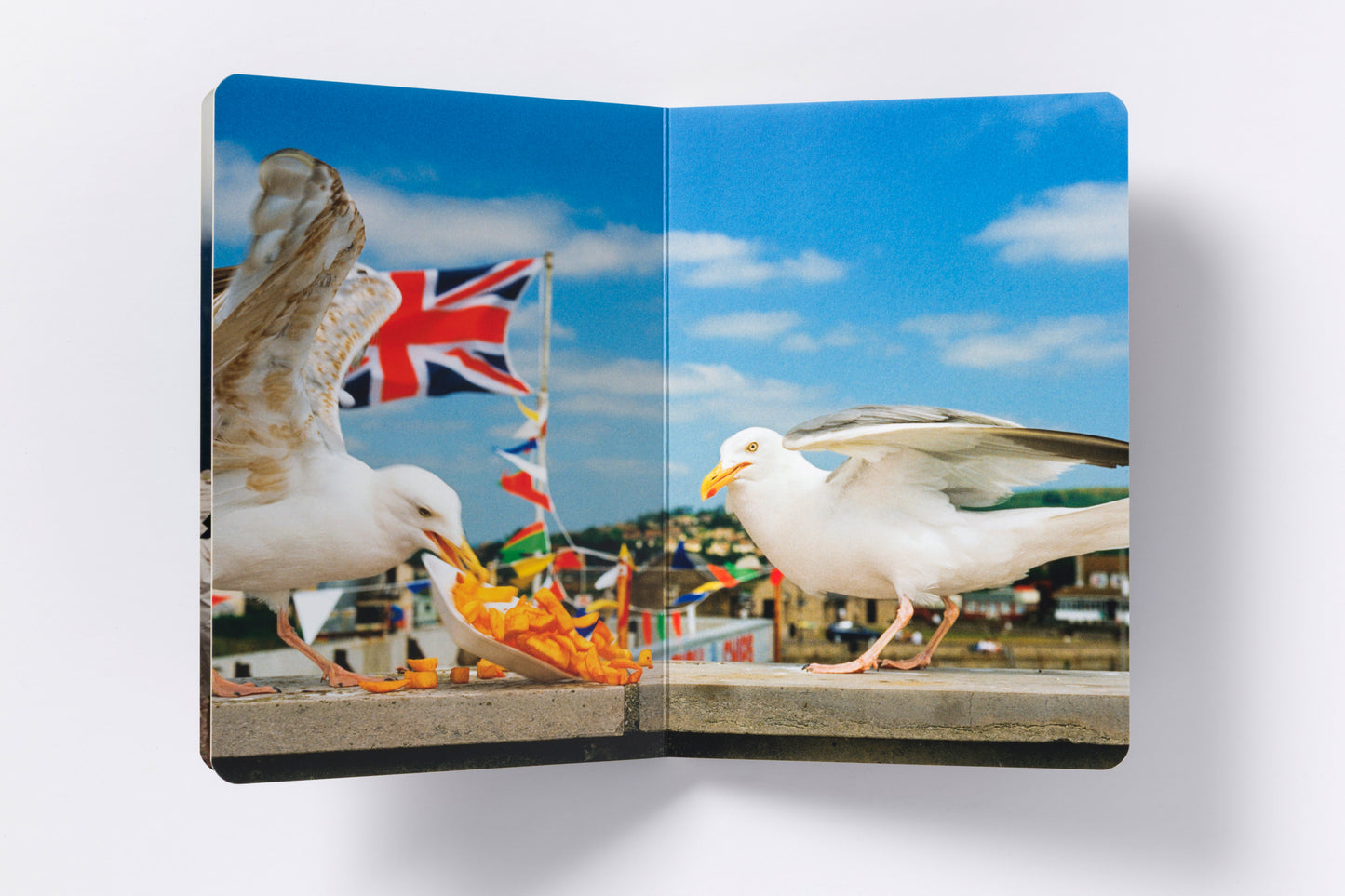 Martin Parr : Animals