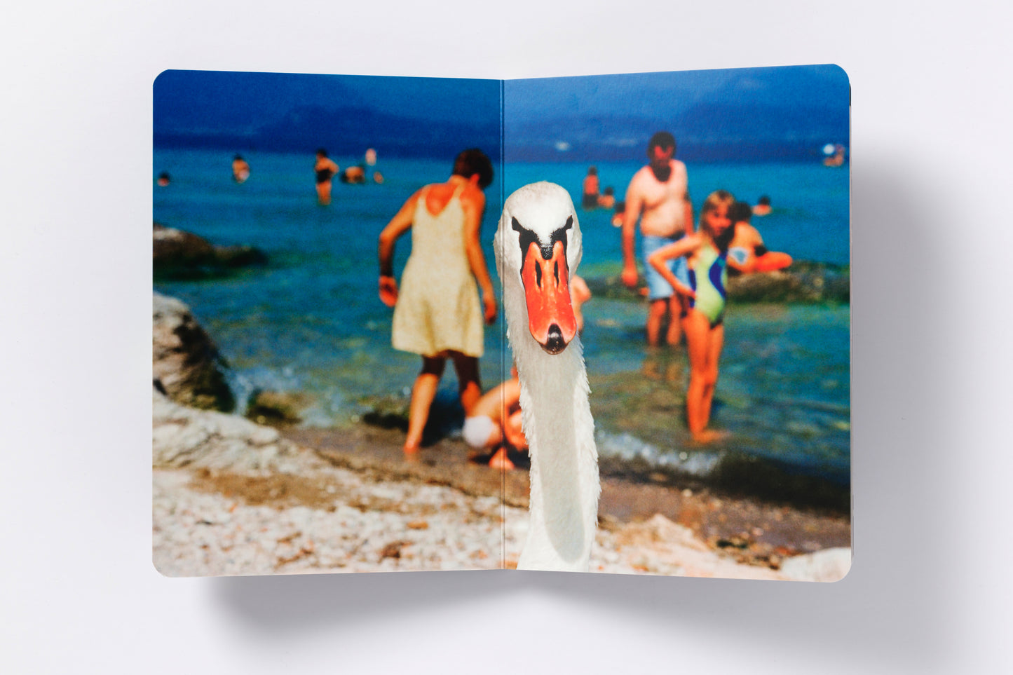 Martin Parr : Animals