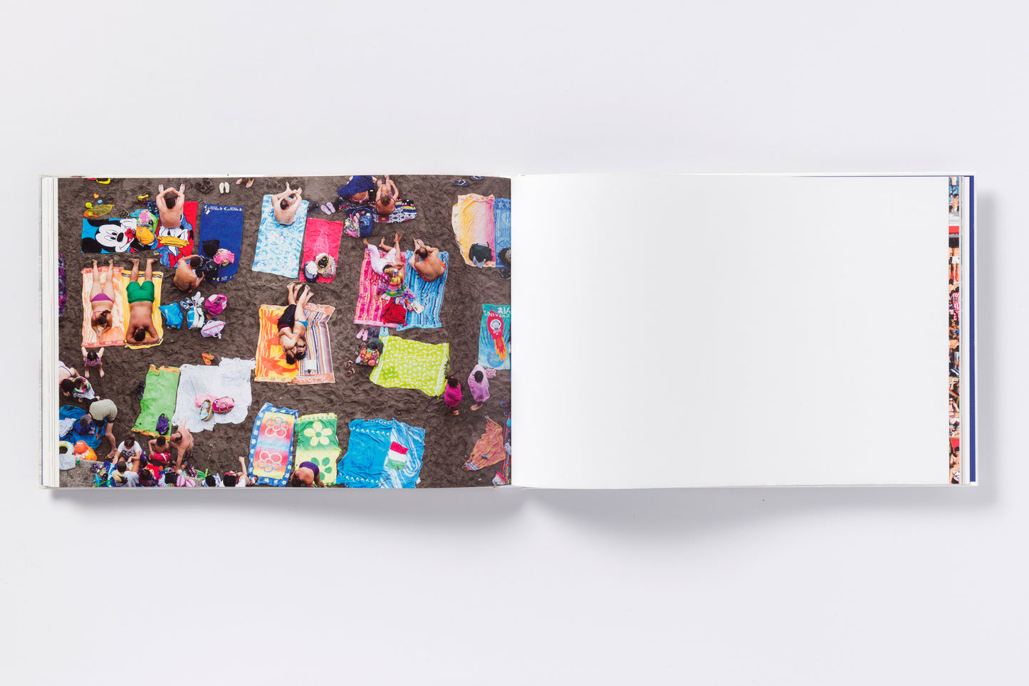 Martin Parr : Beach Therapy