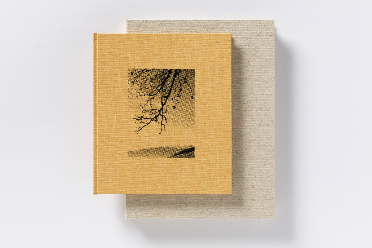 Matej Sitar : Morning Sun Special Edition