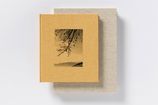 Matej Sitar : Morning Sun Special Edition